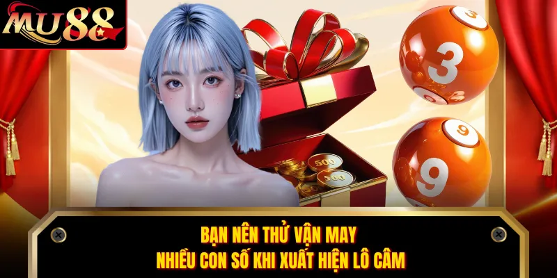 Bạn nên thử vận may nhiều con số khi xuất hiện lô câm