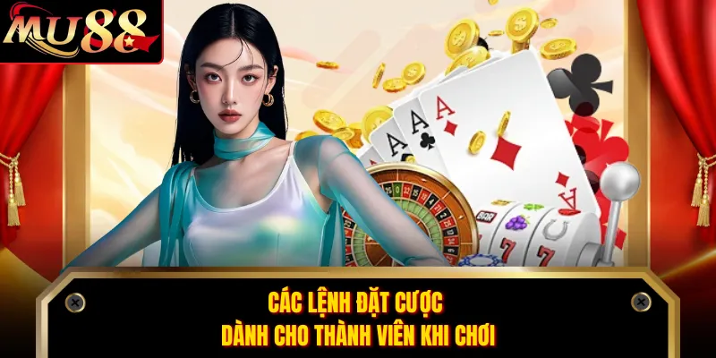 Các lệnh đặt cược dành cho thành viên khi chơi